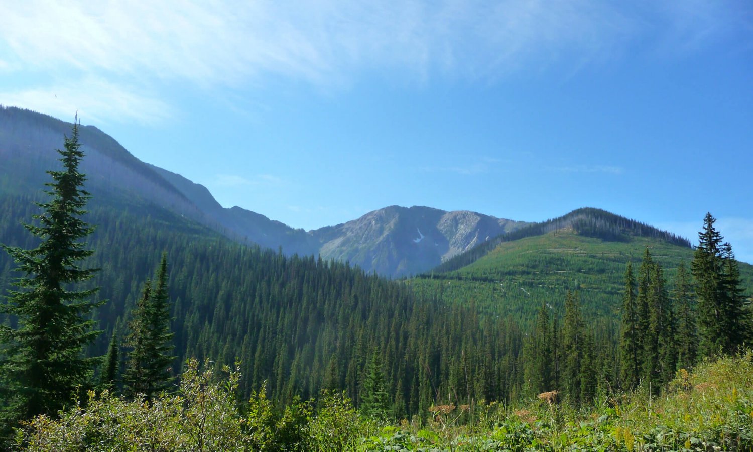Gray_creek (32)