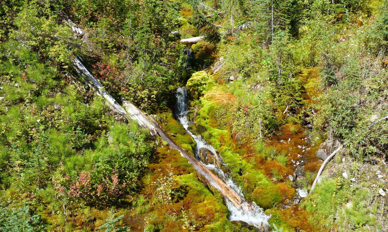 Gray_creek (33)