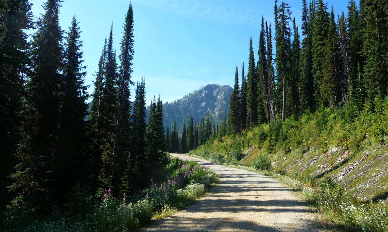 Gray_creek (34)