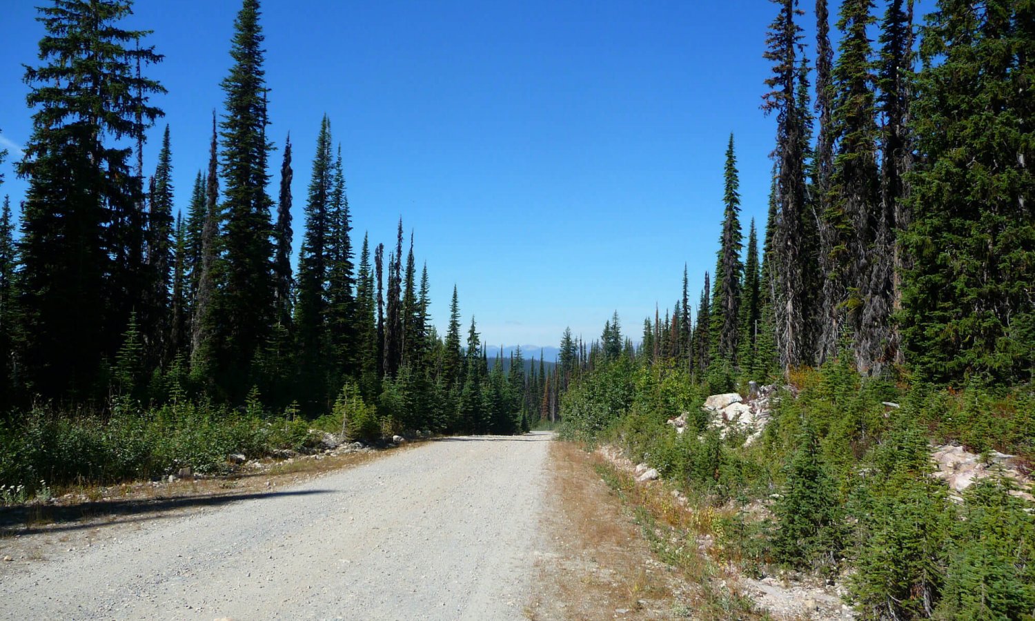 Gray_creek (38)