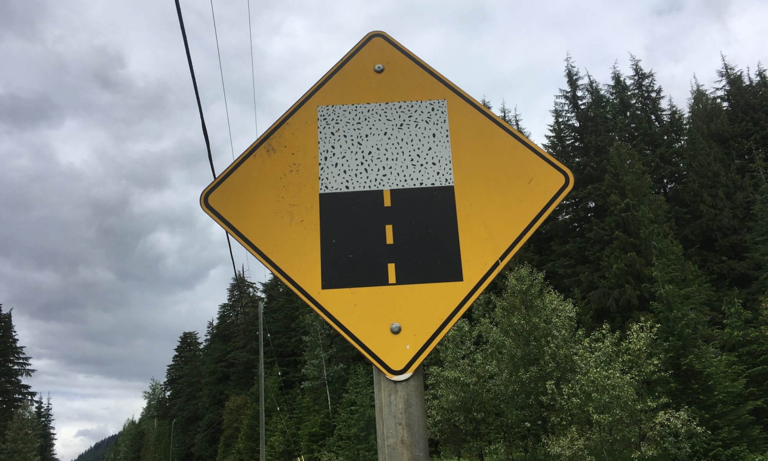 nelson_trout (11)