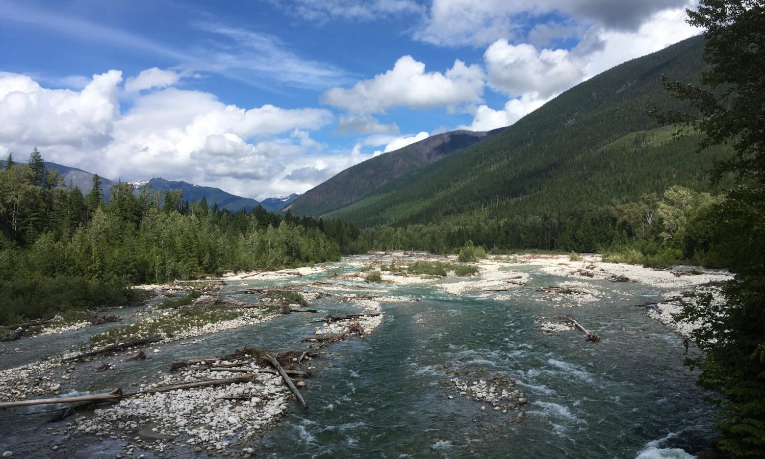 nelson_trout (16)