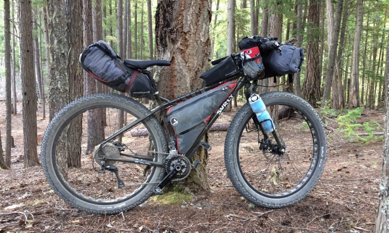 surly_ecr
